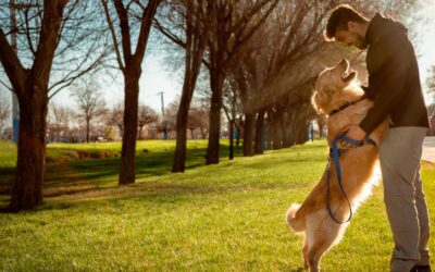 7 astuces pour maintenir votre animal en bonne santé