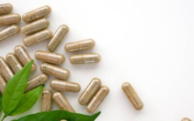 Les meilleurs compléments alimentaires pour renforcer les articulations de votre chien