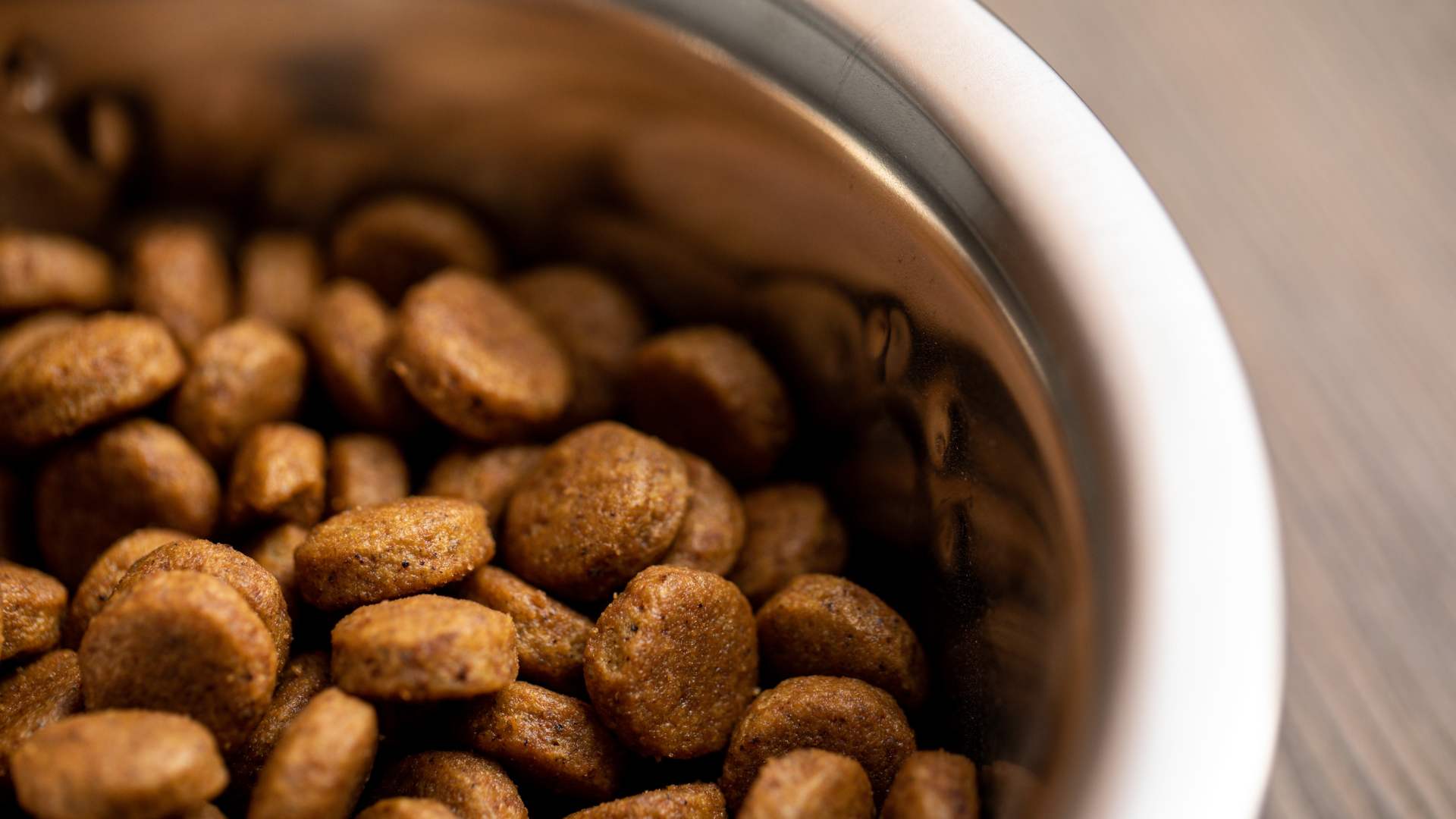 croquettes pour les animaux