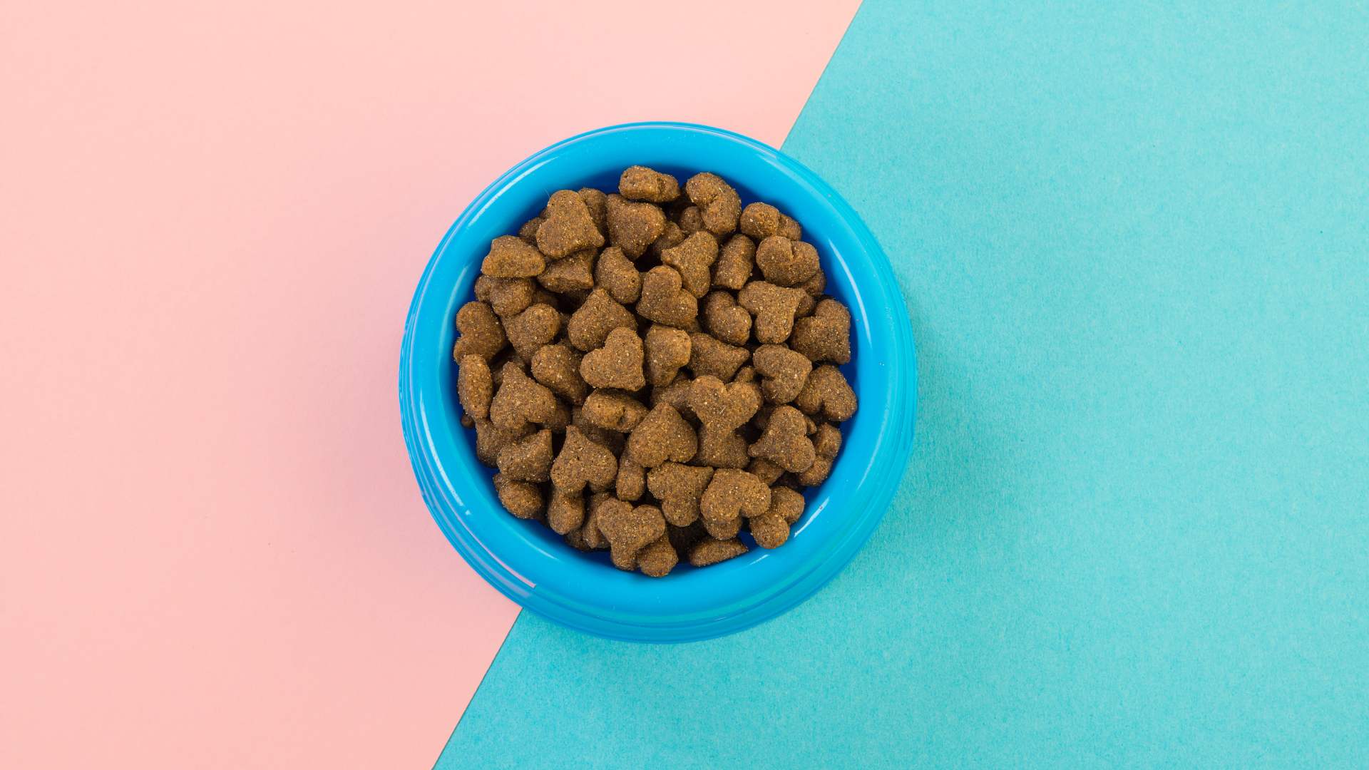 croquettes pour les animaux