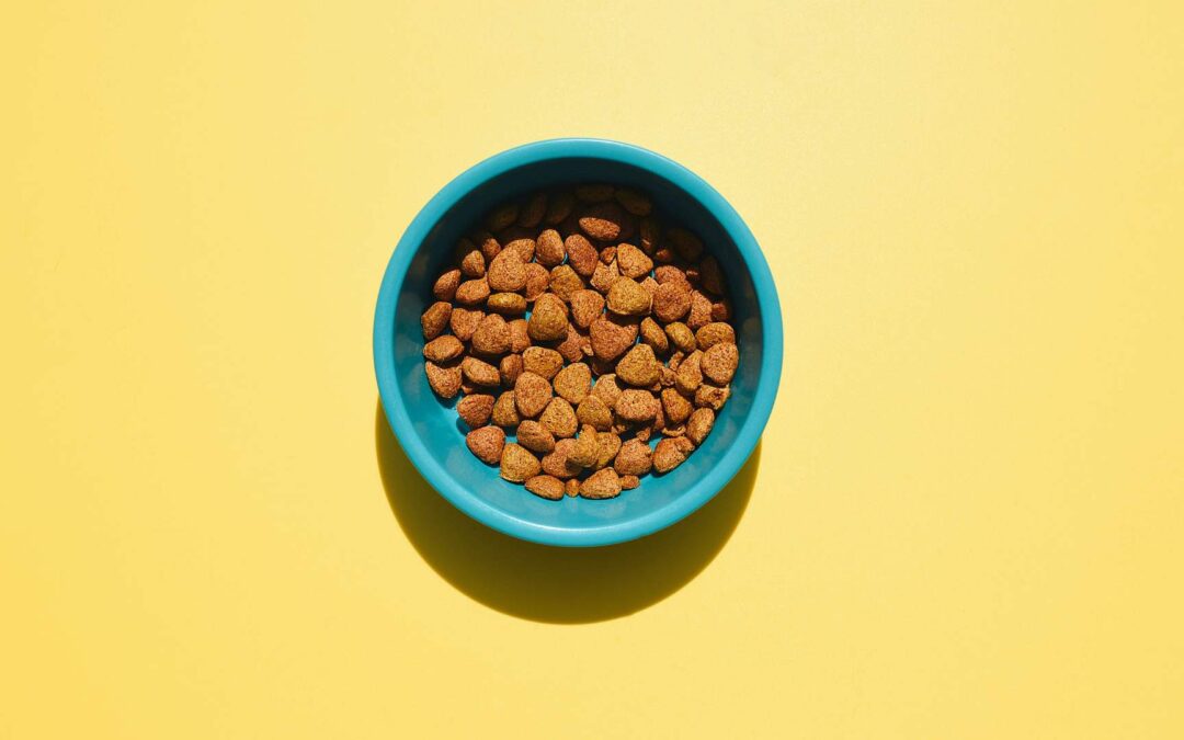 croquettes pour les animaux